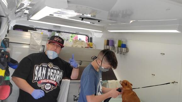 fantasy spa mobile pet grooming