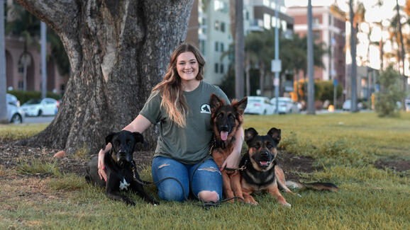 loyal k9 dog training