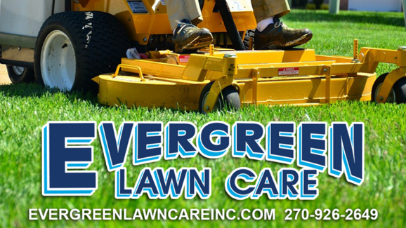 evergreen lawn care