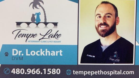 Tempe Lake Veterinary Clinic Pet Resort 9 Recommendations Tempe Az