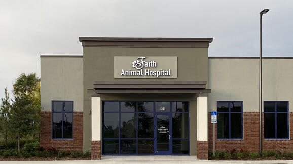 Faith Animal Hospital 37 Recommendations Port St Lucie Fl