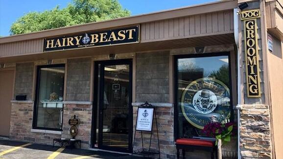Hairy Beast Dog Pawlour 16 Recommendations Aurora Il Hairy Beast Dog Pawlour 16 Recommendations Aurora Il