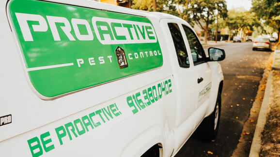 Pro Active Pest Control 166 Recommendations Roseville Ca