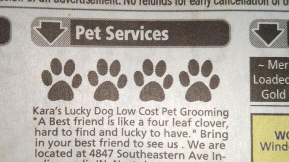 low cost dog grooming