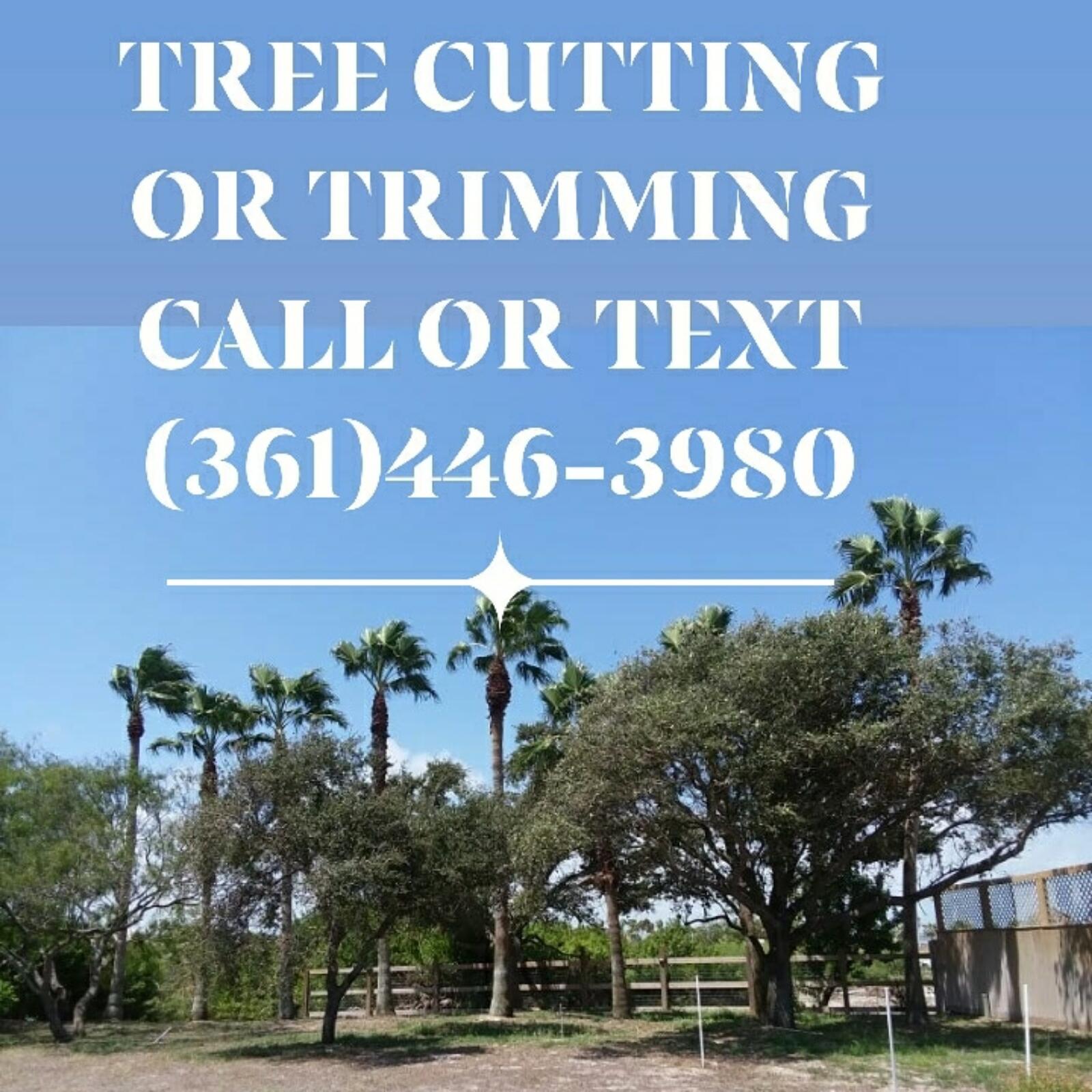 Commercial Cutters 12 Recommendations Corpus Christi Tx