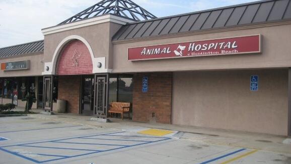 hb animal hospital