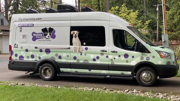 lily's mobile dog grooming