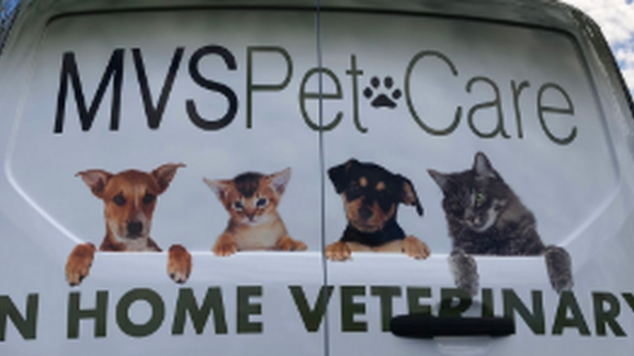 mvs pet care
