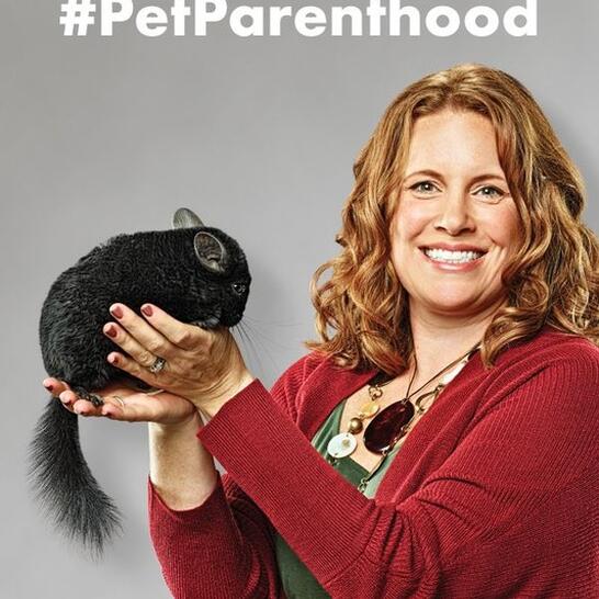 petsmart cambridge adoption