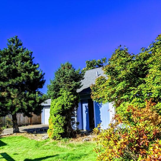 Yost Tree Service Salem Oregon All information about Service