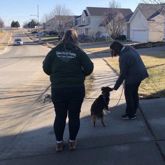 follow me dog training