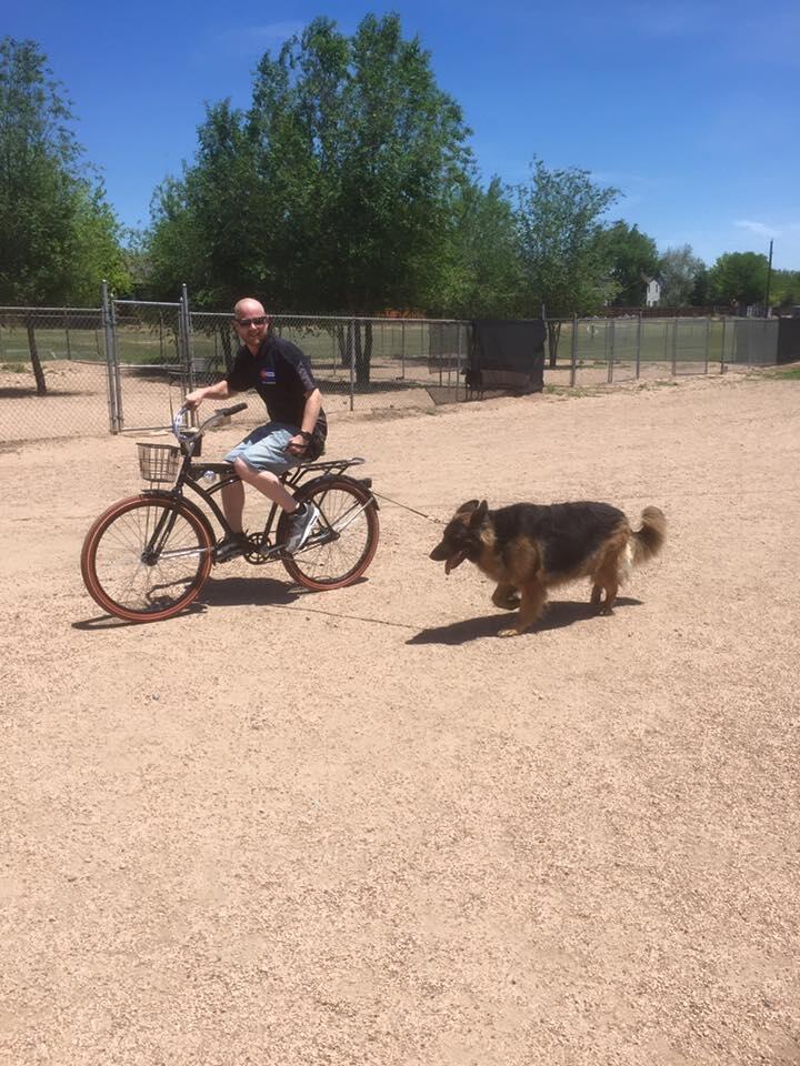 Colorado Dog Academy Inc 132 Recommendations Broomfield CO Nextdoor