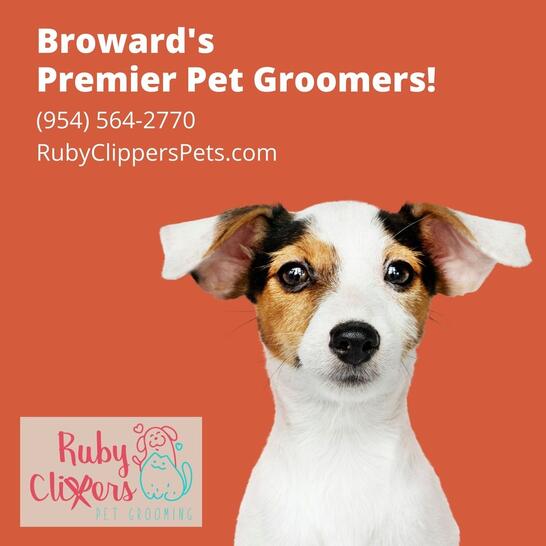 ruby clippers pet grooming