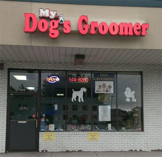 Top Dog Grooming Canton  Check it out now 