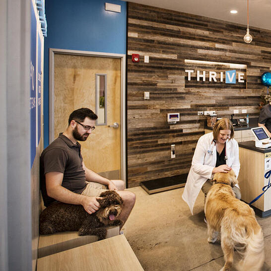 low cost vet round rock