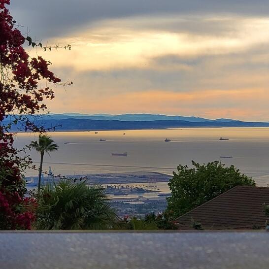 fantasy spa mobile pet grooming