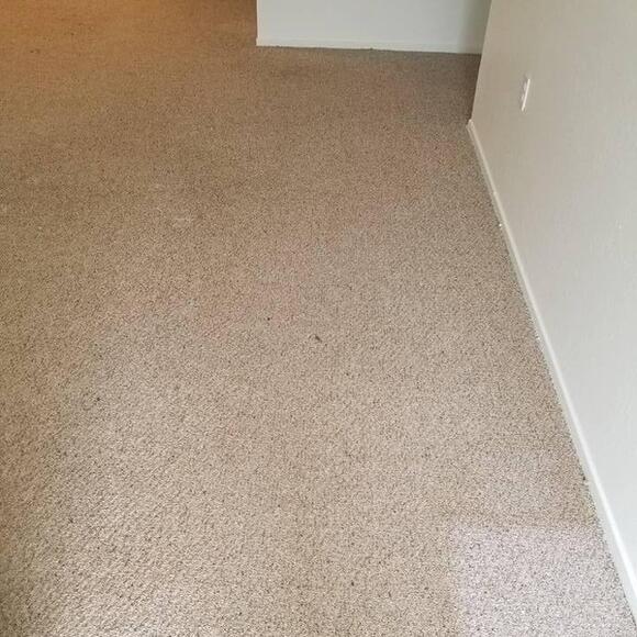 Oasis Carpet Upholstery 1 Recommendation Clarkston Mi