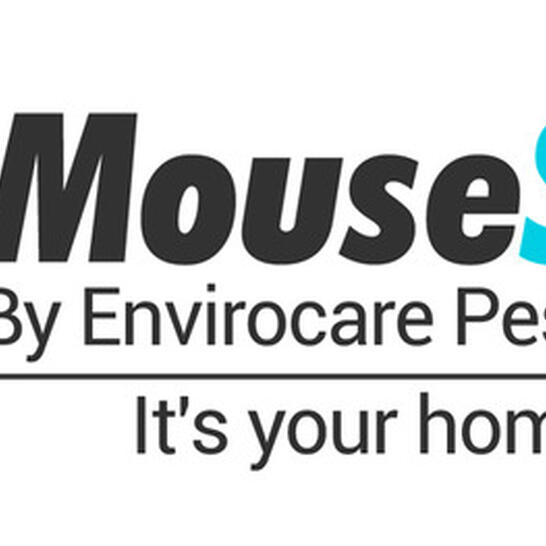 Envirocare Pest Control Llc 12 Recommendations Watertown Ct