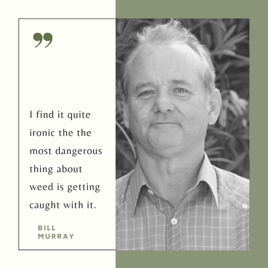 Greenleaf Healing Center 1 Recommendation Coral Springs Fl