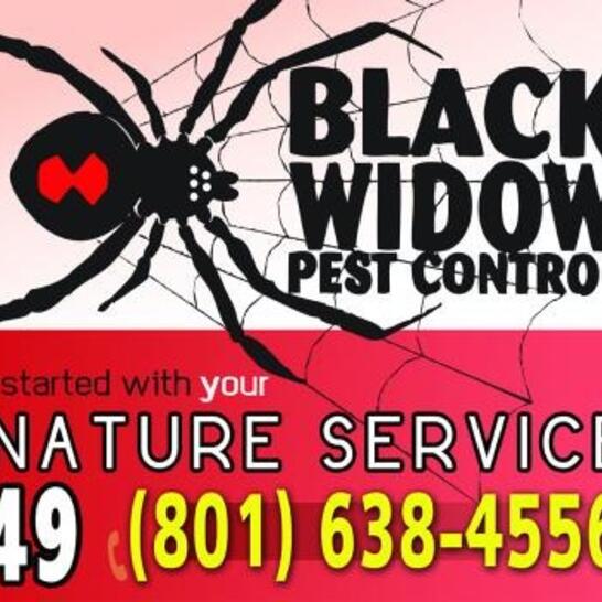 Black Widow Pest Control West Jordan Ut