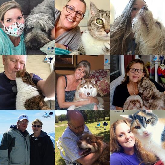 indian land pet sitting