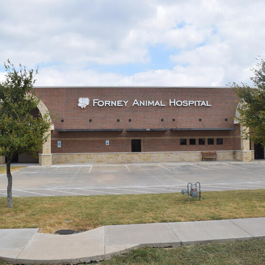 vca ridge road animal hospital