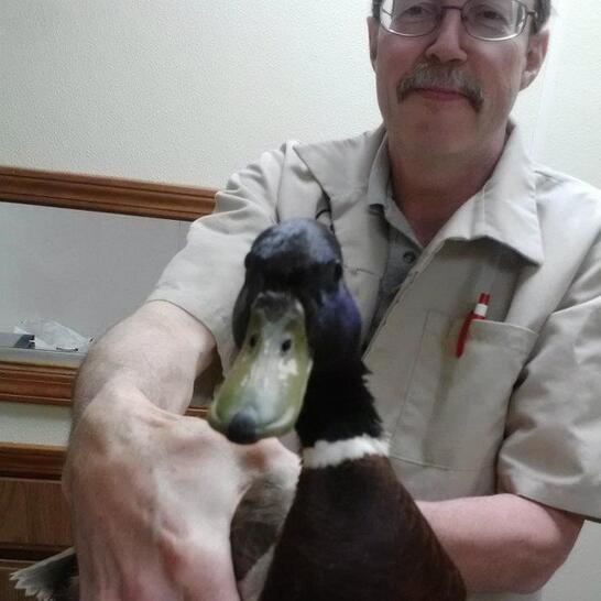 brunswick animal hospital