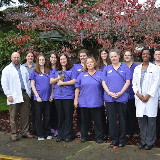 vca covington animal hospital