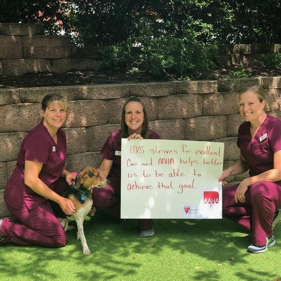 upstate veterinary hospital