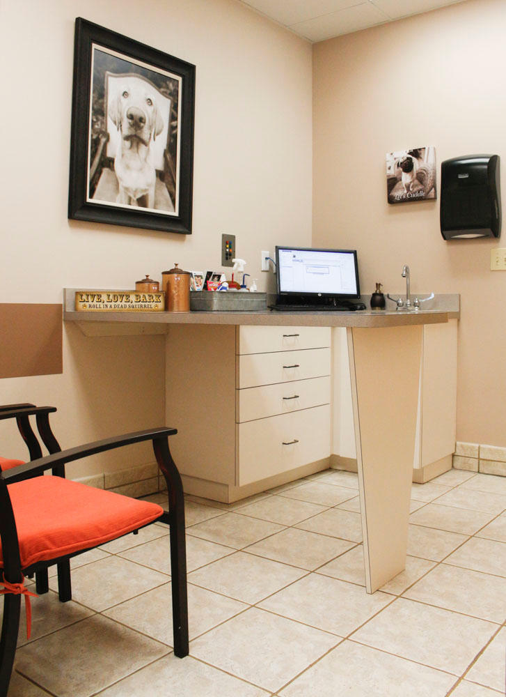 terrell mill animal hospital