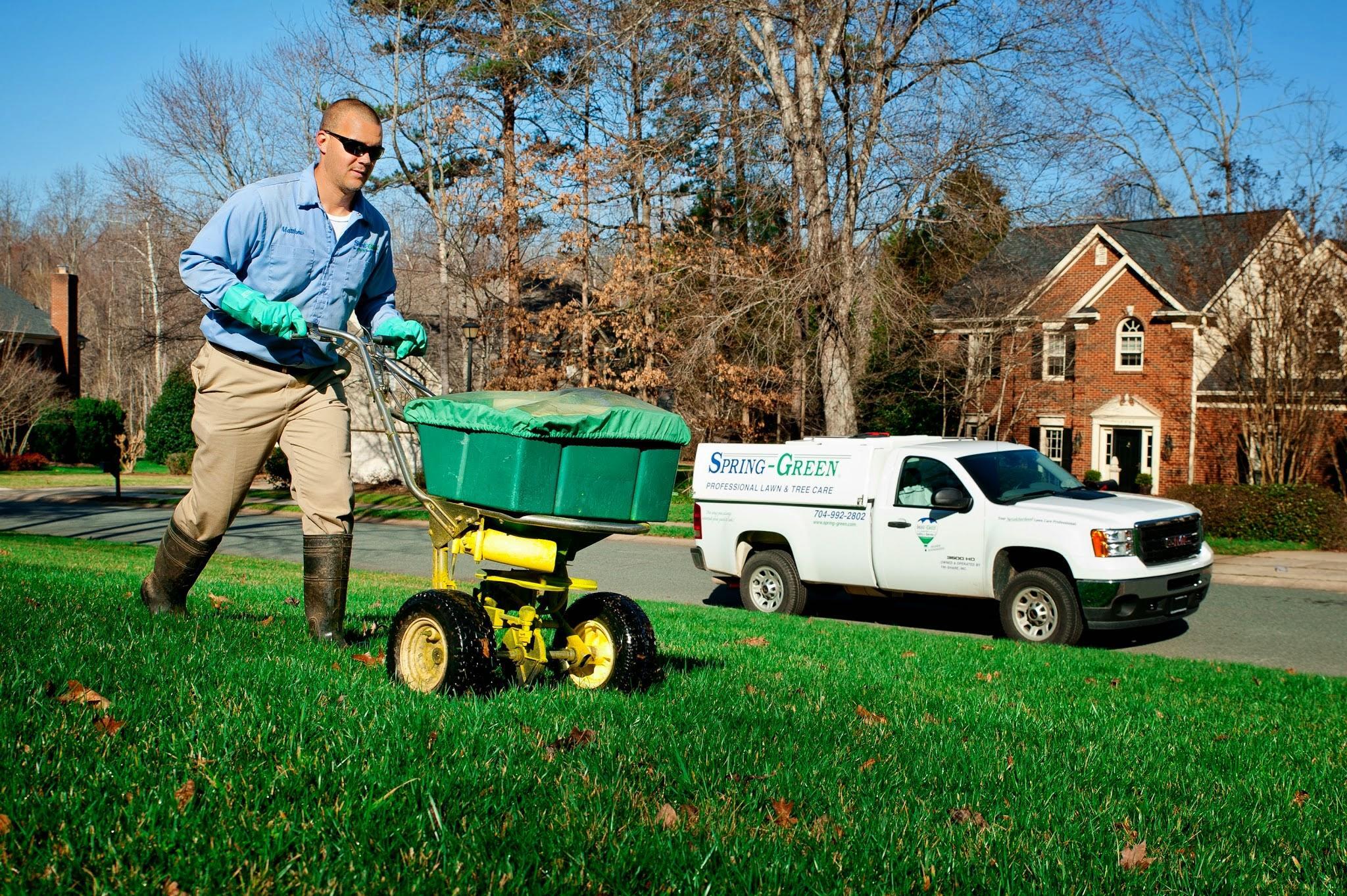 Spring Green Lawn Care Specials