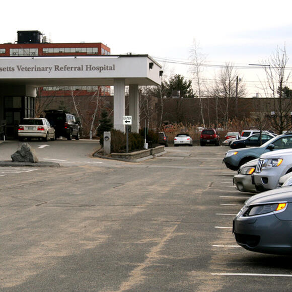 woburn 24 hour animal hospital