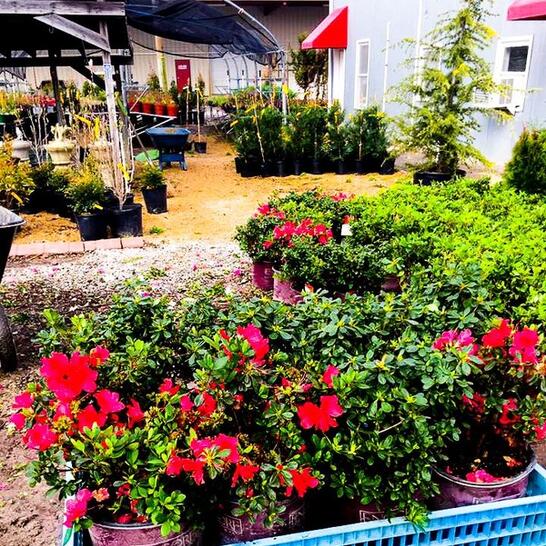 Nature S Mulch And Landscape Supply 3 Recommendations Louisville Ky