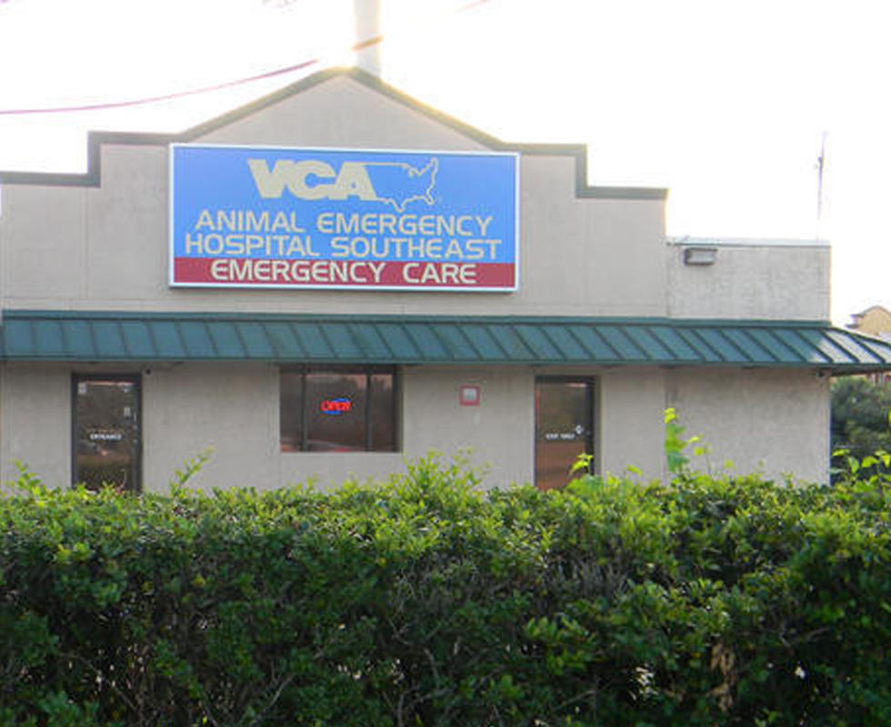 vca southeast animal hospital