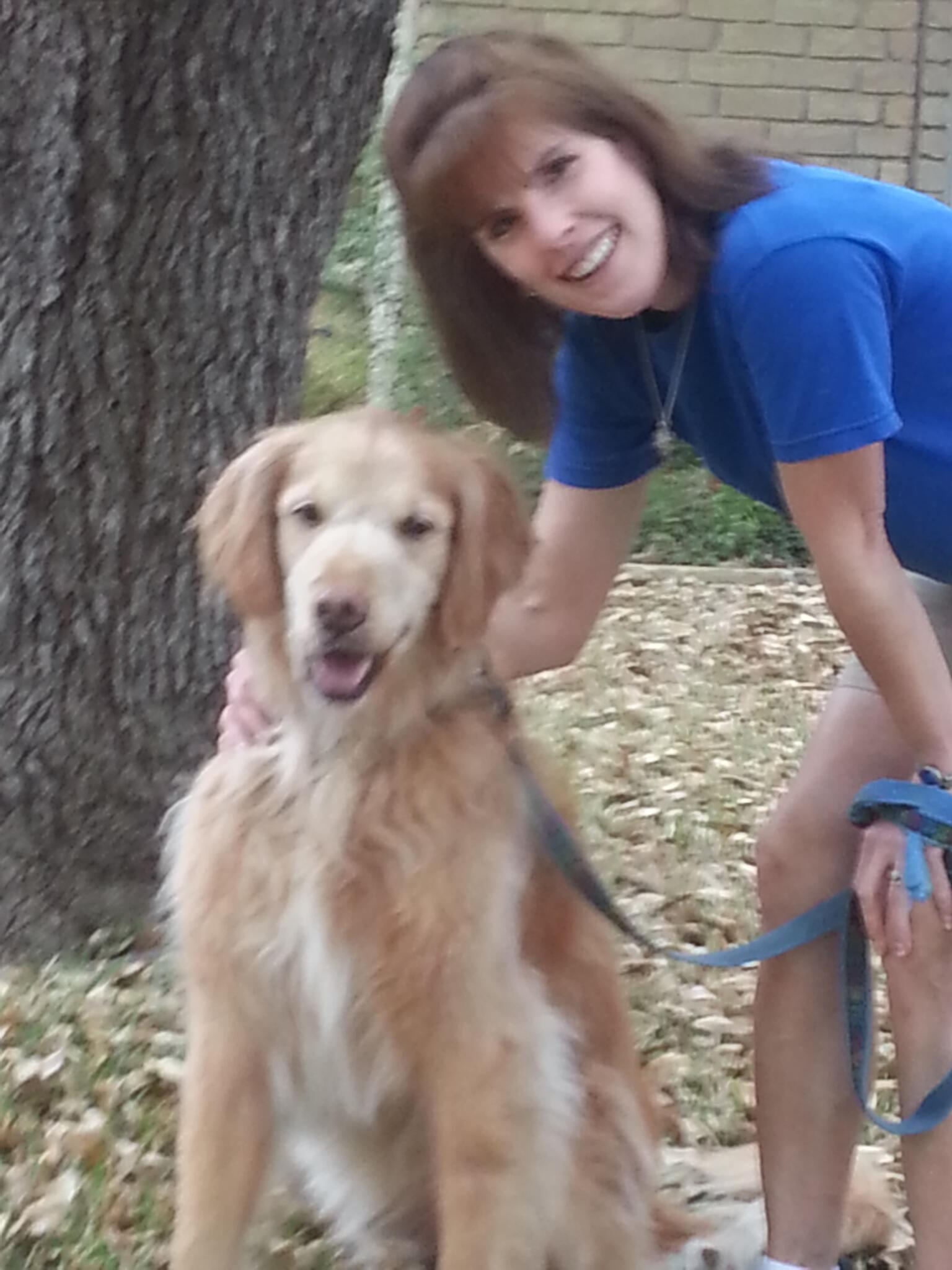 pampered pups dog sitting