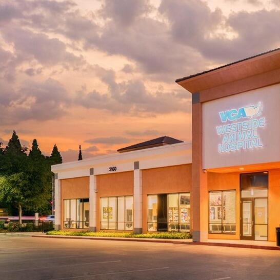 vca westside animal clinic