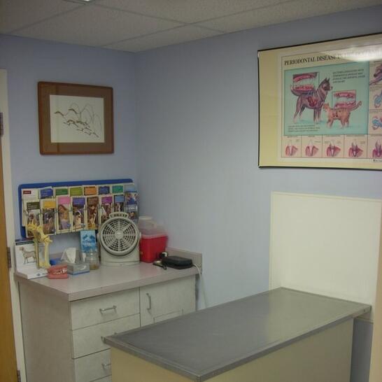 vca cedar animal hospital