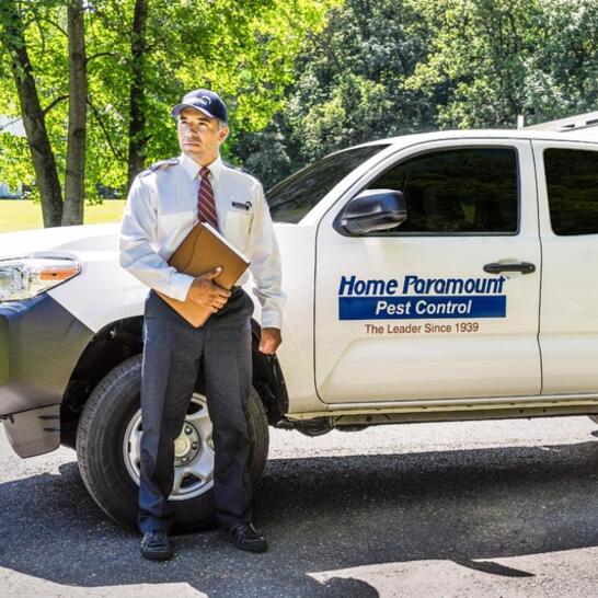 Home Paramount Pest Control 5 Recommendations Mechanicsburg Pa