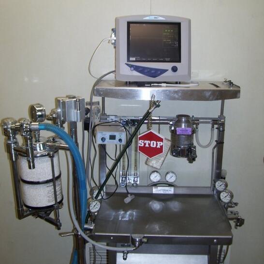 vca abbott animal hospital