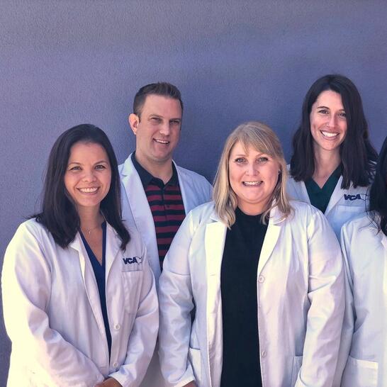 vca animal hospital lake forest