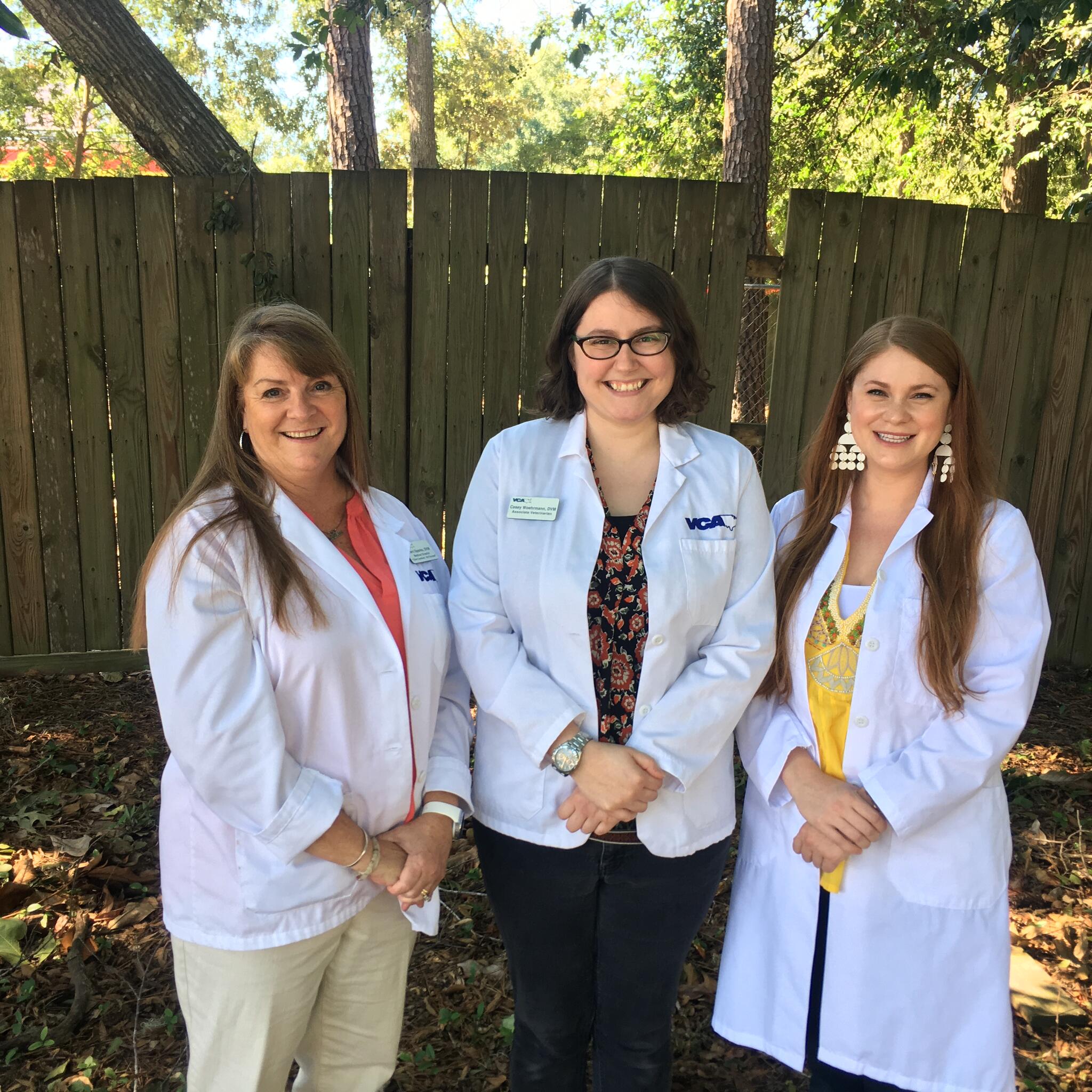 greater savannah animal hospital