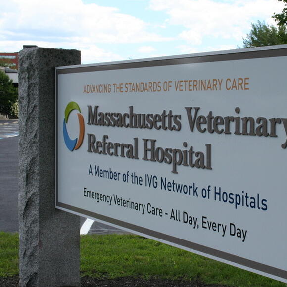 woburn 24 hour animal hospital