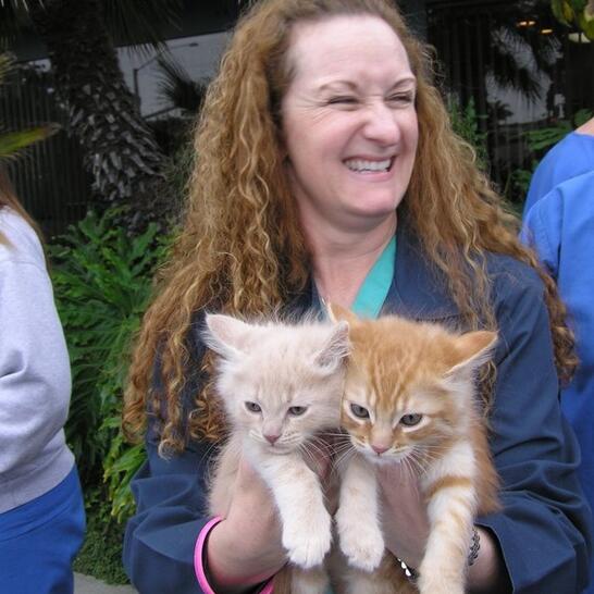 vca animal hospital long beach