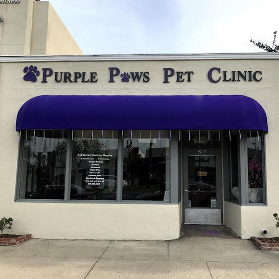 purple paws pet clinic