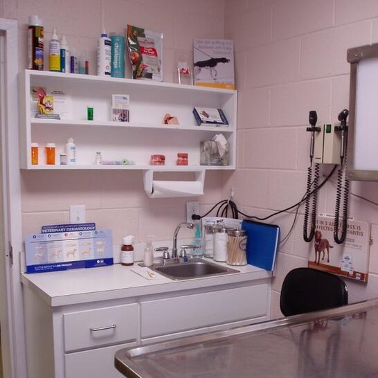 vca apex animal hospital