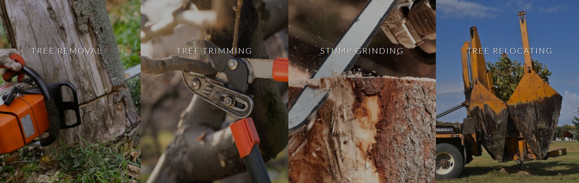 Tree Techs Professional Arbor Care, Inc - Tree Service Pembroke Pines  Florida