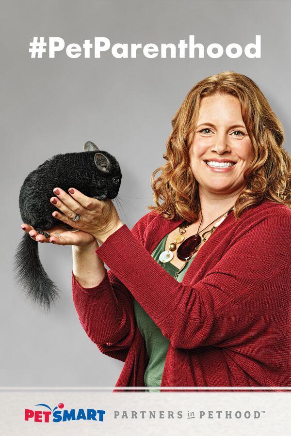 Petsmart Working With Animals Reviews Glassdoor
