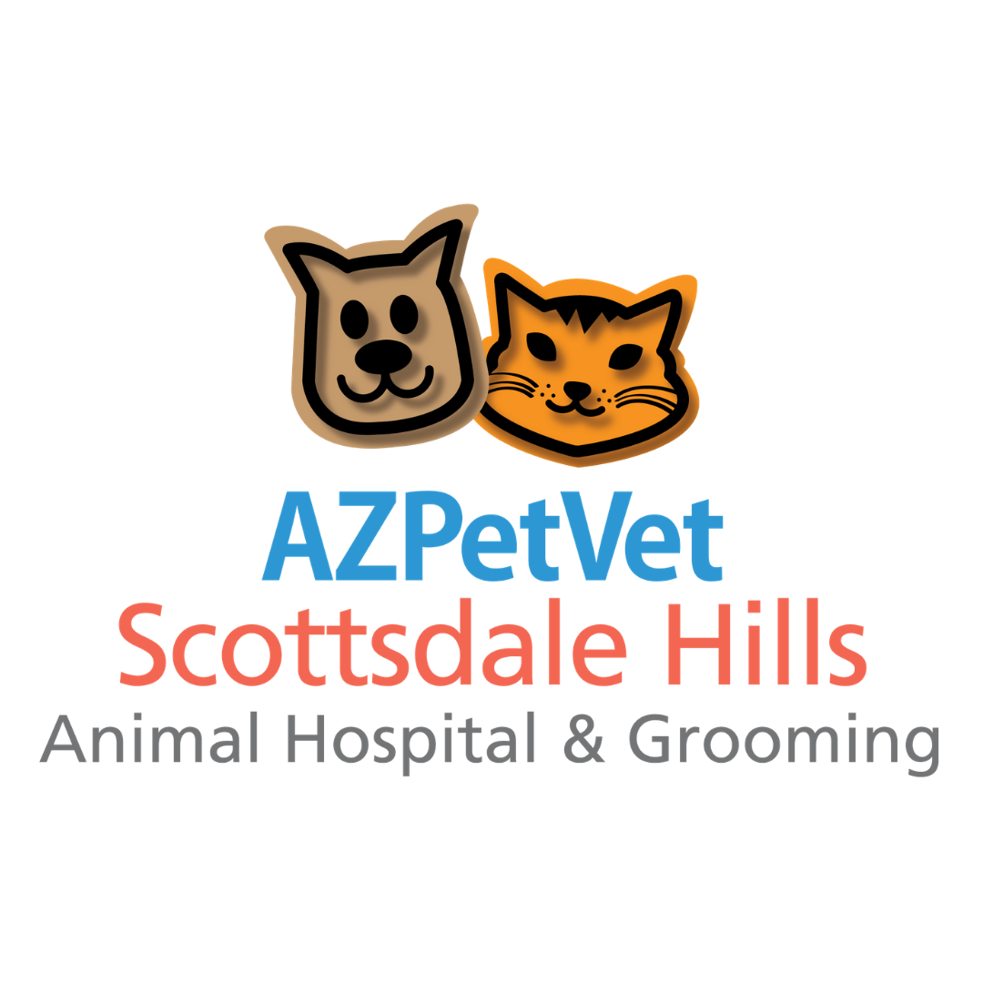 Phoenix Mountain Animal Hospital 216 Recommendations Scottsdale Az
