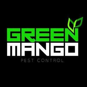green mango pest control