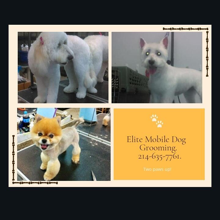 elite paws mobile grooming